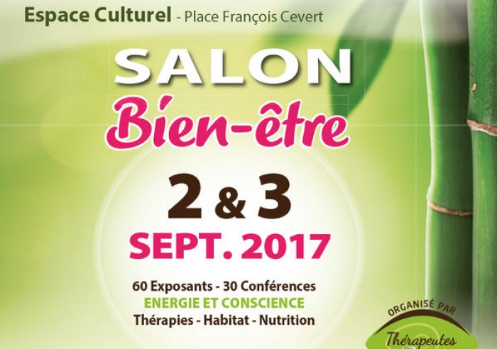 salon vaison la romaine